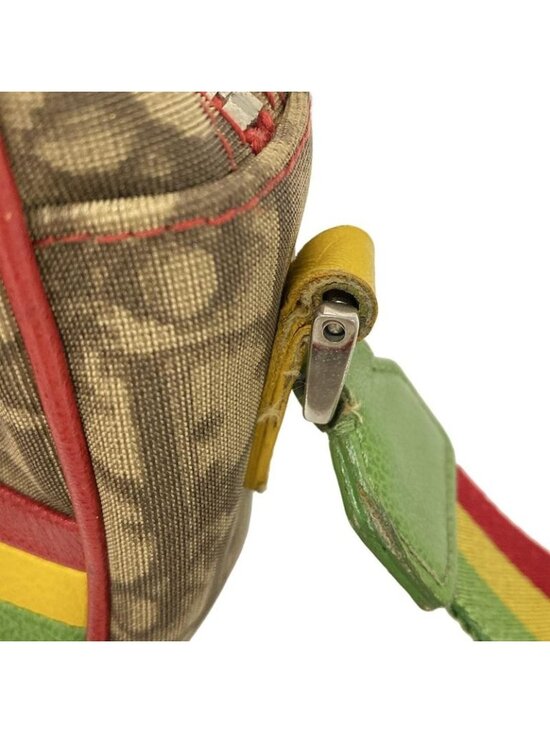 Dior Shoulder Bag Rasta Dark Brown Beige Multi Leather - Picture 13 of 15